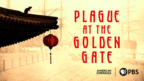 Plague at the Golden Gate cover image