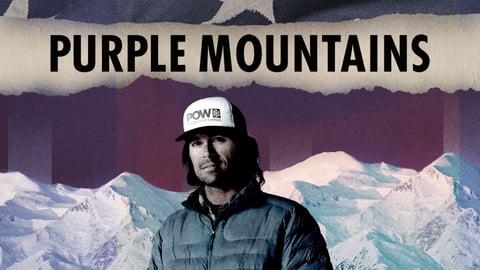 Purple Mountains cover image