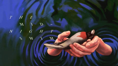 The Midnight Swim cover image