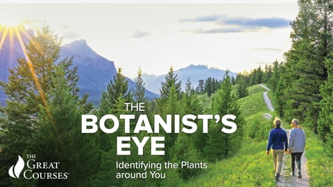 The Botanist's Eye: Identifying the Plants around You cover image
