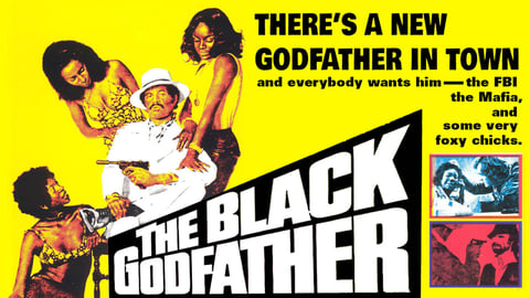 The Black Godfather cover image
