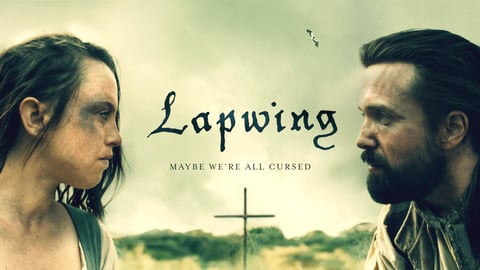 Lapwing cover image