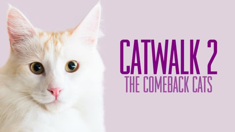 Catwalk 2: The Comeback Cats cover image