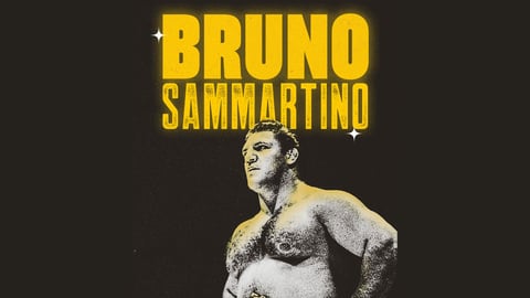 Bruno Sammartino cover image
