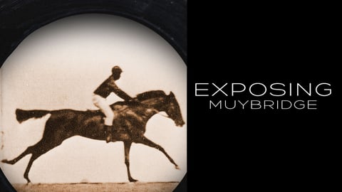 Exposing Muybridge cover image
