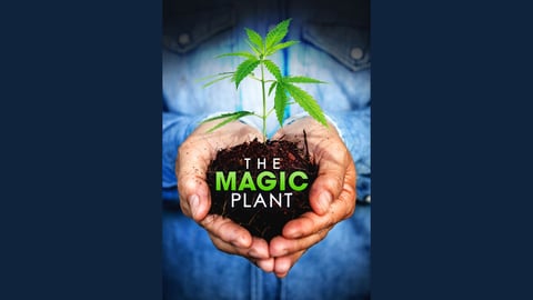The Magic Plant cover image