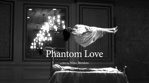 Phantom Love cover image