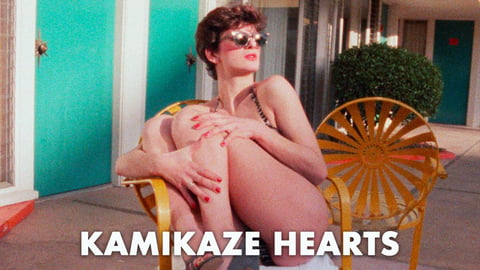 Kamikaze Hearts cover image