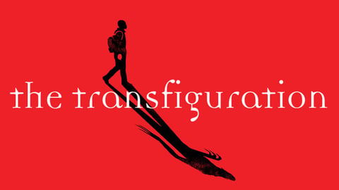 The transfiguration cover image