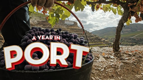 A Year in Port cover image