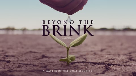 Beyond the Brink cover image