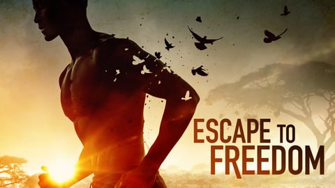 Escape to Freedom cover image