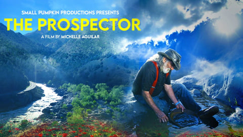 The Prospector cover image