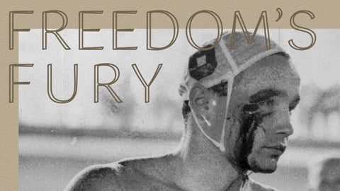 Freedom's Fury cover image
