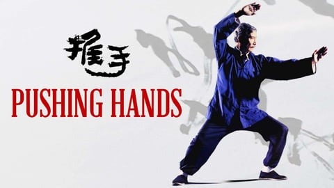 Pushing Hands cover image