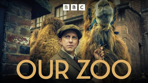 Our Zoo cover image