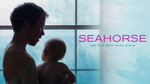 Seahorse cover image