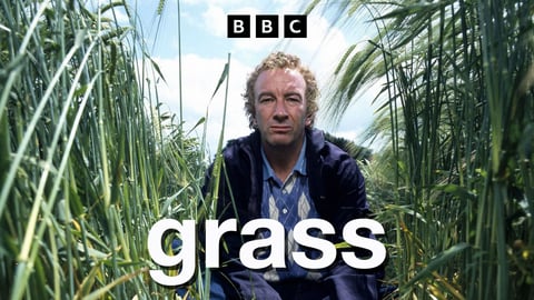 Grass cover image