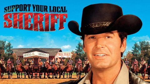 Support Your Local Sheriff! cover image