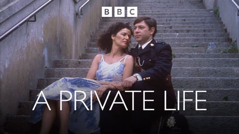 A Private Life cover image