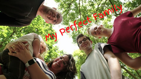 My Perfect Family cover image