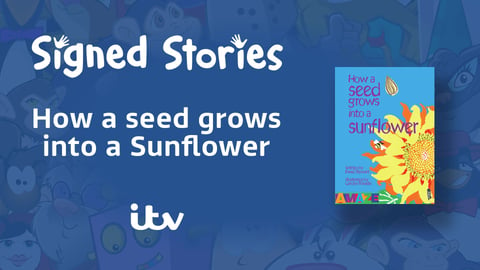 How a Seed Grows into a Sunflower cover image