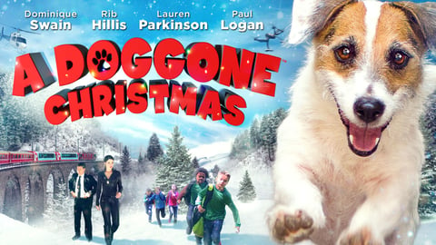 A Doggone Christmas cover image