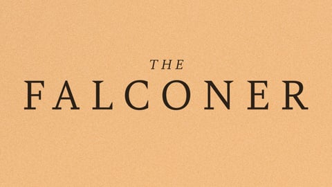 The Falconer cover image
