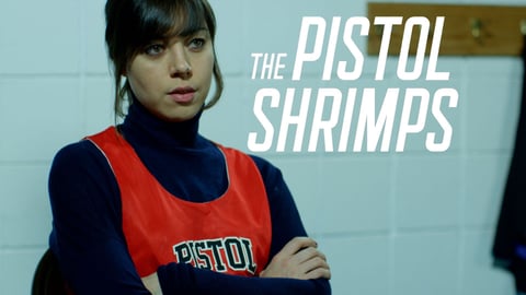 The Pistol Shrimps cover image