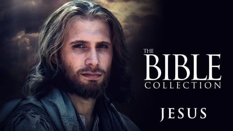The Bible Collection: Jesus cover image