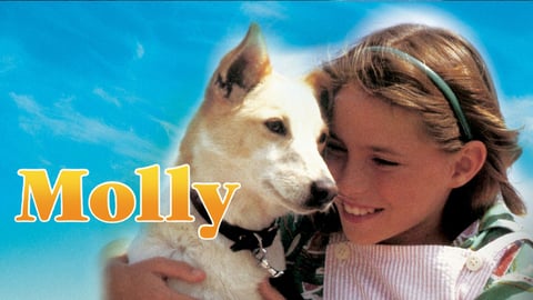 Molly cover image