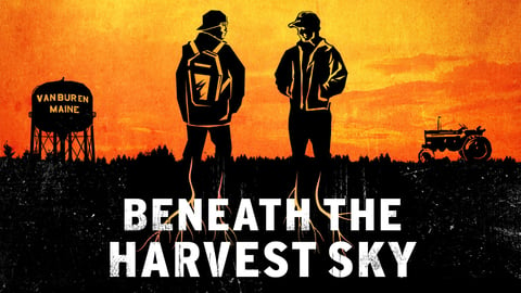 Beneath the Harvest Sky cover image