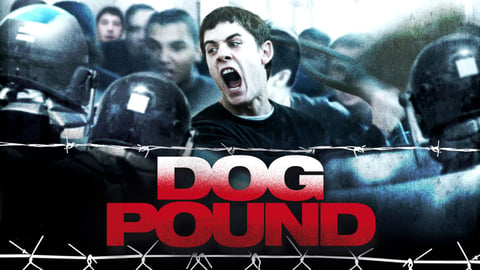 Dog Pound cover image