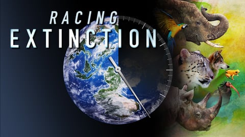 Racing Extinction cover image