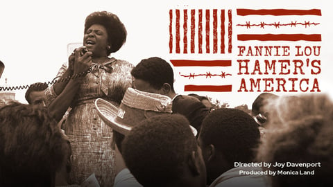 Fannie Lou Hamer's America cover image