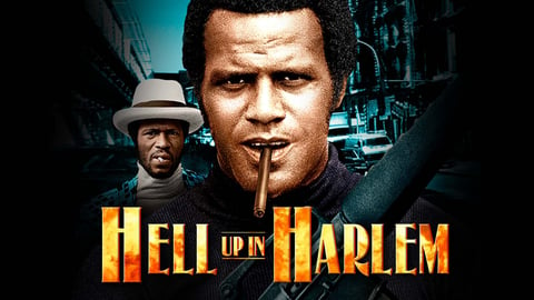 Hell Up in Harlem cover image