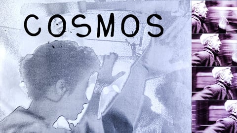 Cosmos cover image