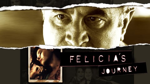 Felicia's Journey cover image