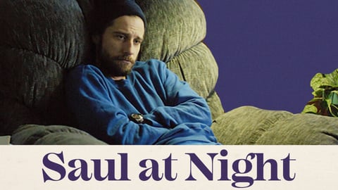 Saul at Night cover image