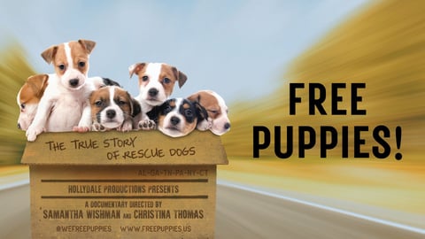 Free Puppies!