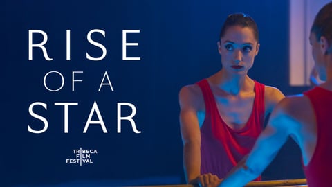 Rise of a Star cover image