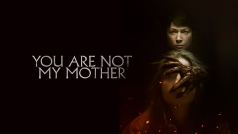 You Are Not My Mother cover image