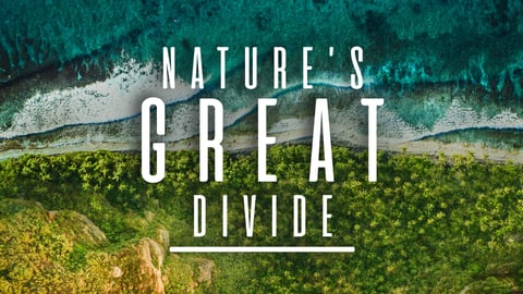 Nature's Great Divide cover image
