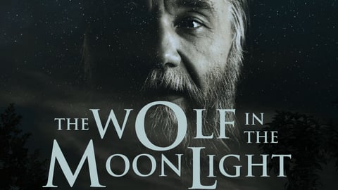 The Wolf in the Moonlight cover image
