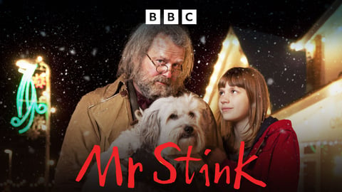 Mr. Stink cover image