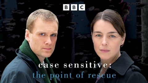 Case Sensitive cover image