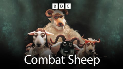Combat Sheep cover image
