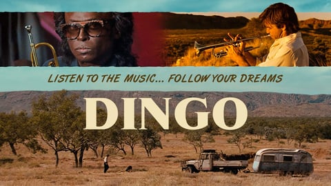 Dingo cover image