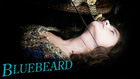 Bluebeard cover image