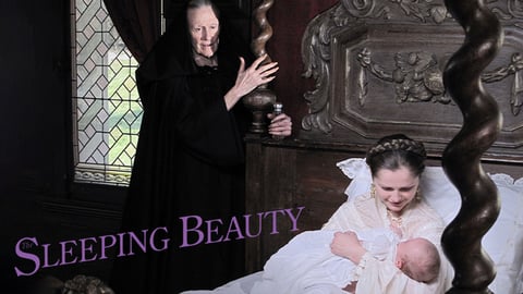 The Sleeping Beauty cover image